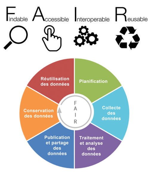 Principes FAIR