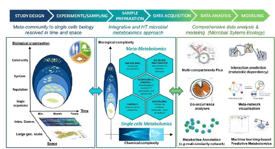 Schematic representation of the proposed microbial metabolomics framework