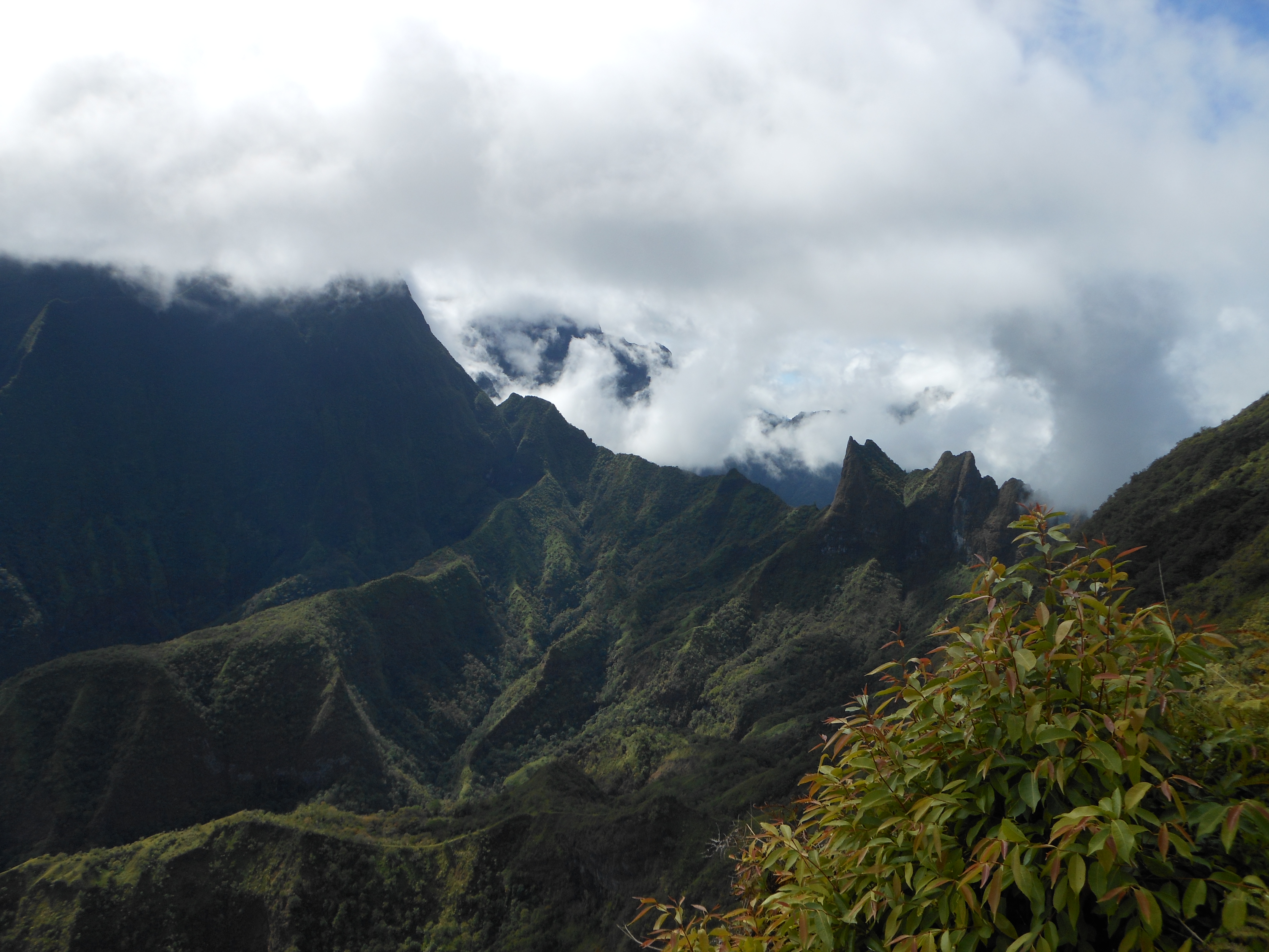 Vue partielle de l'Aorai depuis le Mt Marau (Tahiti)