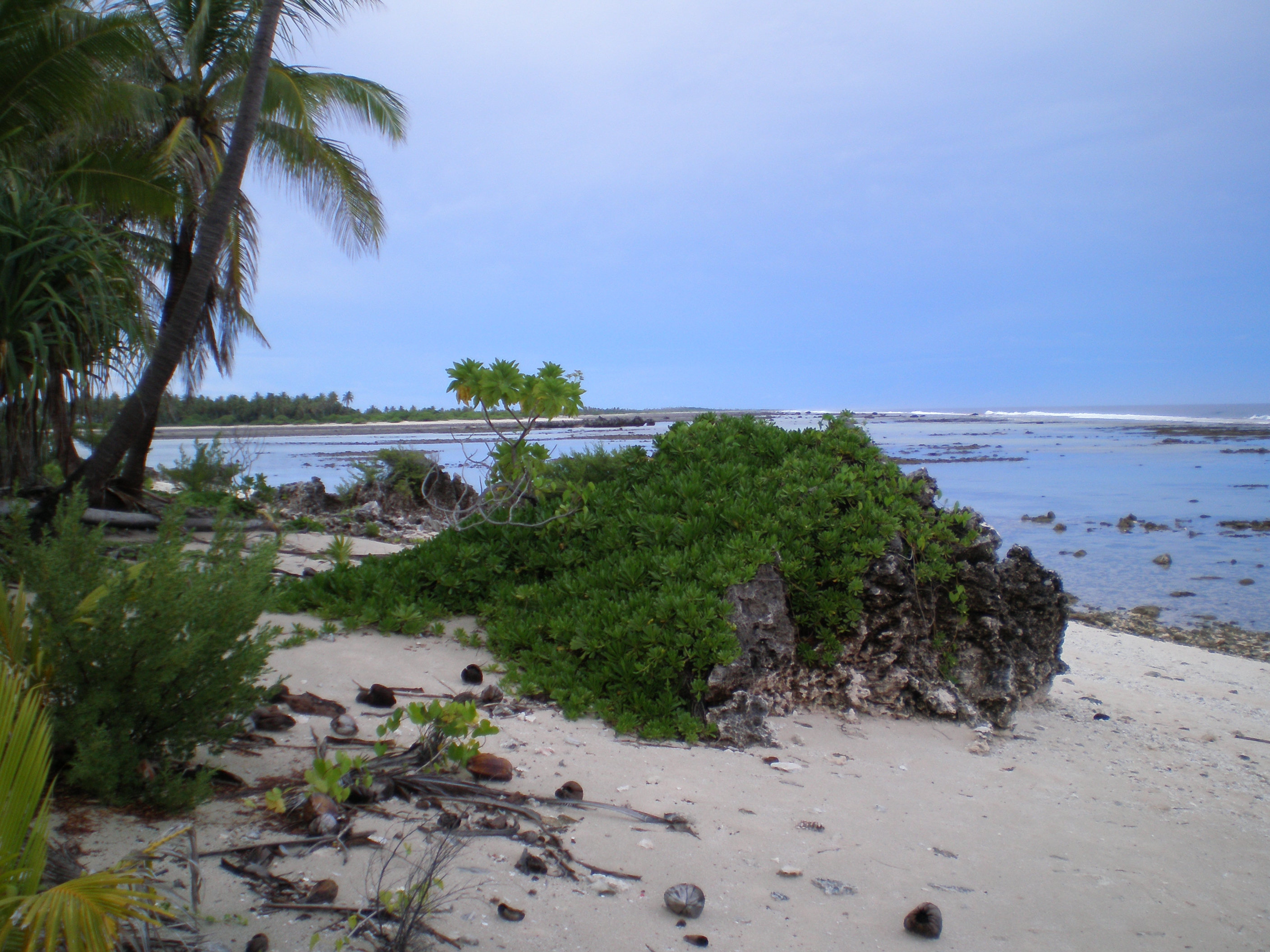 Tuamotu atolls